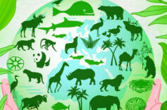 道县全力推进生物多样性保护工作