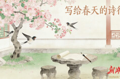 柳岸无言 | 廖柳