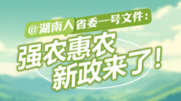 【长图】@湖南人，省委一号文件：强农惠农新政来了！