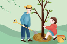 保靖：以“两合”绘生态新景 植树添绿正当时