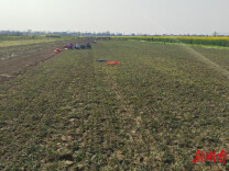 临湘市江南镇：麦冬种植扎下根 特色产业促振兴