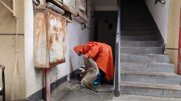 开展楼栋集中清理 筑牢居民安全防线