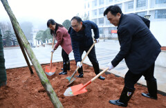 “植”此青绿，共“树”未来！醴陵春季义务植树热火朝天