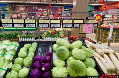 湖南蔬菜价格季节性下行，部分菜品批发价跌幅超16%