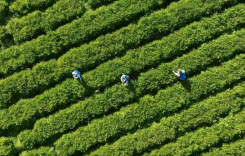 金融活水助“抢鲜”