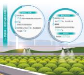 今年有望从“试点飞行”迈入“场景验证” 看低空经济如何“起飞”