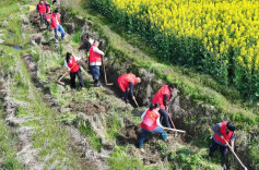 衡山：“渠”心聚力疏农脉 通渠保灌促丰收