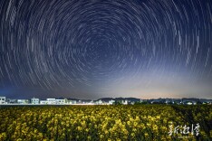 油菜花海映星河