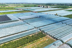 三十而立·岁与君和⑳ | 三十年“葡”写蝶变：从试验田到乡村振兴的“甜蜜”引擎