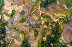 三十而立·岁与君和⑱ |  三十载改革破局，君山农垦国有地“焕新生”