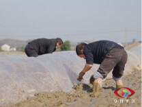 不负好春光 平江田野上耕作忙
