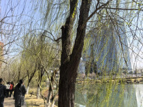 走进早春（组图）