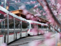 北京这个三月乘着“最美西郊线”穿越花海，最佳乘车时间和路线