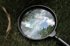 江苏南通一地被指“种假树、无根树”，当地通报