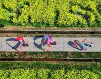 湖南真美 · 一周精选  | 赴一场湖南春天的花事