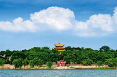 2月份岳阳居民消费价格同比上涨0.8%