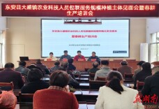 永州职院服务团在东安大盛镇开展农业科技包联服务