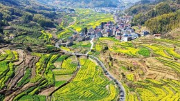 “大稳定、小调整”，二轮到期再延30年