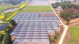 自动化育秧+社会化服务 华容全面推进早稻集中育秧