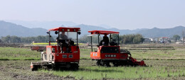 新宁：农机护航春耕，田间地头奏响丰收序曲