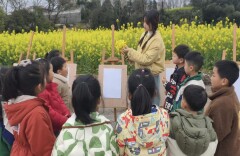 怀化市鹤城区第二幼儿园：金色花田绘童真，自然美育润童心