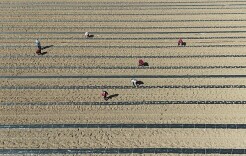 再延长30年！这个重磅文件让亿万人吃上“定心丸”