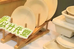 “以竹代塑”纳入国家“十五五”规划纲要