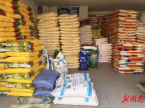 娄底：扛起供销担当 护航春耕生产