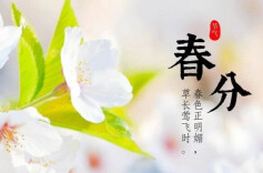 今日春分｜莫负好春光，安全记心上！