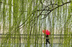 花粉过敏季到来，如何应对？