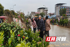 溆浦县：春回大地苗木俏 双井集市购销两旺