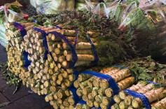 春菜抢“鲜”上市 湘西人的“菜篮子”装满春天的味道