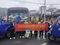 免费领良种！6.5万公斤优质大豆玉米种子直达农户