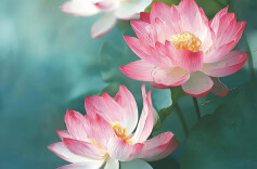 樊锐：深刻把握“三个更加”的重要要求