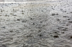 还没干透又要淋？周末起南方又一轮大范围春雨上线