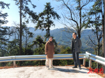 金洞以“冲刺”状态为林业高质量发展谋篇开局