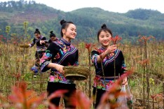 野菜虽鲜莫乱吃！专家提醒：谨慎采摘、焯水“去毒”