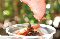 香草的逆袭：紫苏如何从“配角”定义一道湘味？