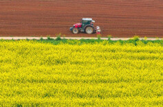 辛小湘丨2026，湖南乡村振兴，就这么干