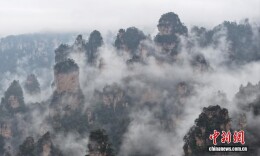 湖南张家界现云海景观 峰林若隐若现如仙境