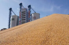 提升粮食和物资储备安全保障能力 湖南实施八大攻坚行动