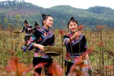 野菜虽鲜莫乱吃！专家提醒：谨慎采摘、焯水“去毒”