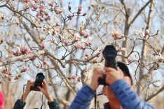 国际雕塑公园玉兰季启动