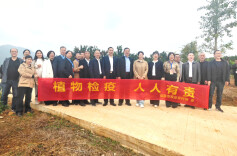 涟源市农业农村局依法查处一起违规调运苗木案件