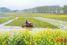 双峰县井字镇花桥村抢抓农时开展农事活动|湖南日报·图片新闻