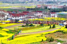 【凝心聚力 真抓实干 奋力实现“十五五”良好开局】筑牢生态安全屏障 加快建设美丽中国