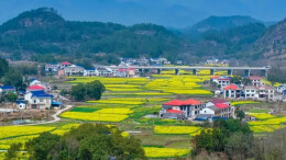 收藏！平江春日限定玩法→