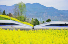 清明假期火车票今日开售 收好这份出行攻略→