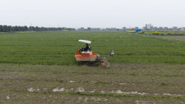 湘阴：春耕“动”起来 丰收底气足