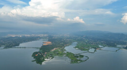 在云溪，有人把女儿“嫁妆”换成了一棵树……